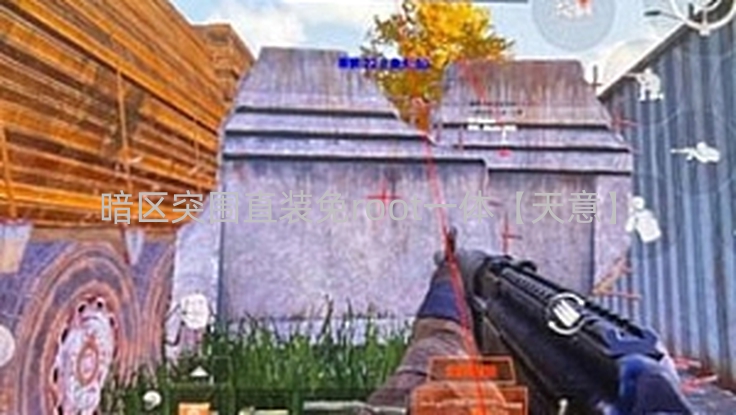 暗区突围直装免root一体【天意】